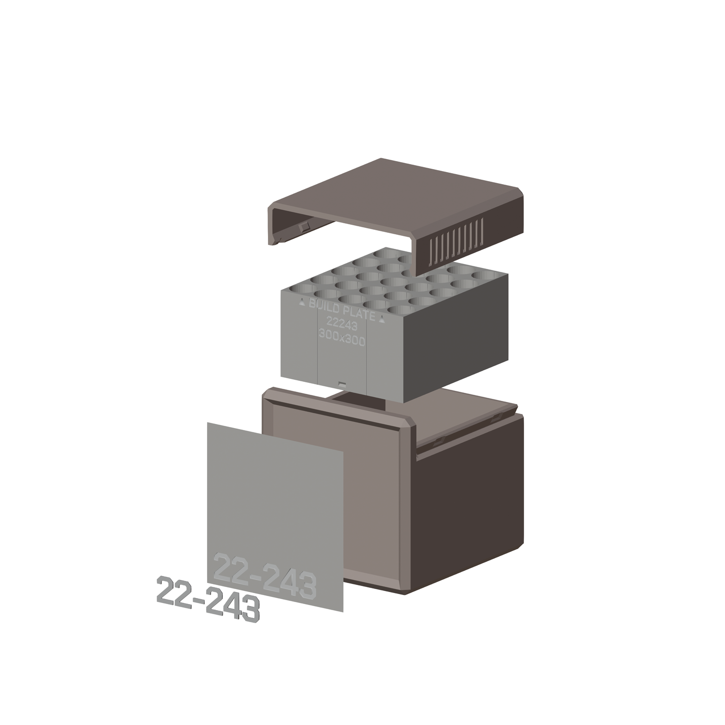 Munitionsbox .22-243 // 50/25/20/10 Schuss